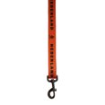thumbnail image 2 of Nederland - Dog Leash (6 ft long), 2 of 2