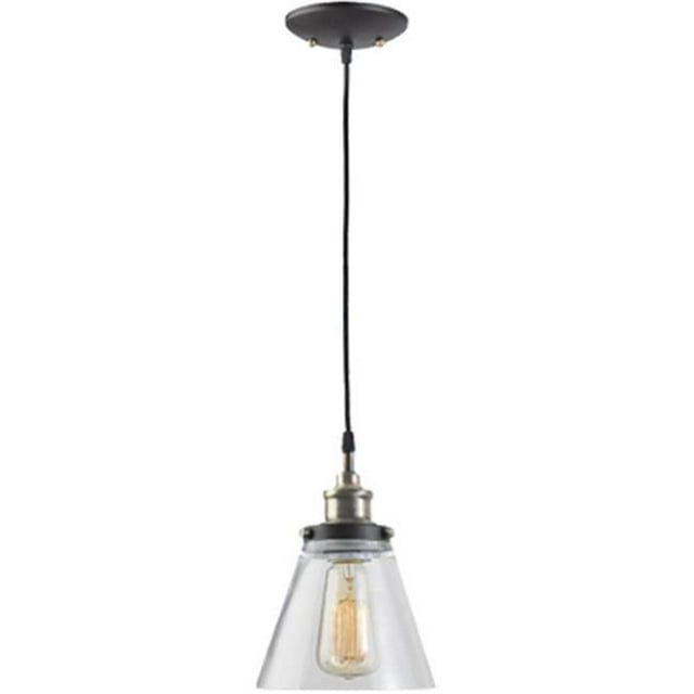 64750 1 Light Pendant Light Fixture, Clear Glass Shade