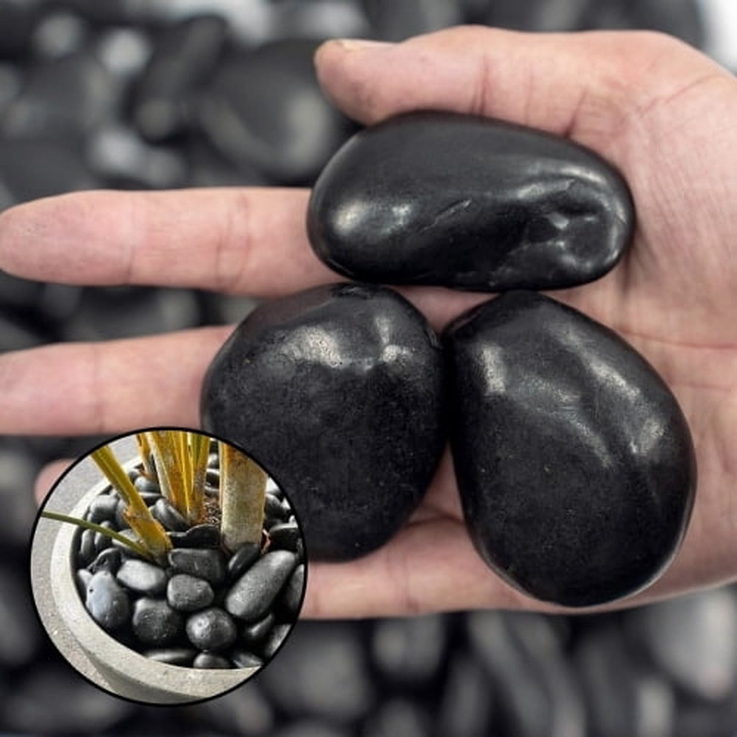 38lbs Black Pebbles for Plants, 2-3 Inch High Polished Natural Large River Rocks for Landscaping, Decorative Stones Vase Filler Fish Tank Aquariums Garden Outdoor and Indoor DIY