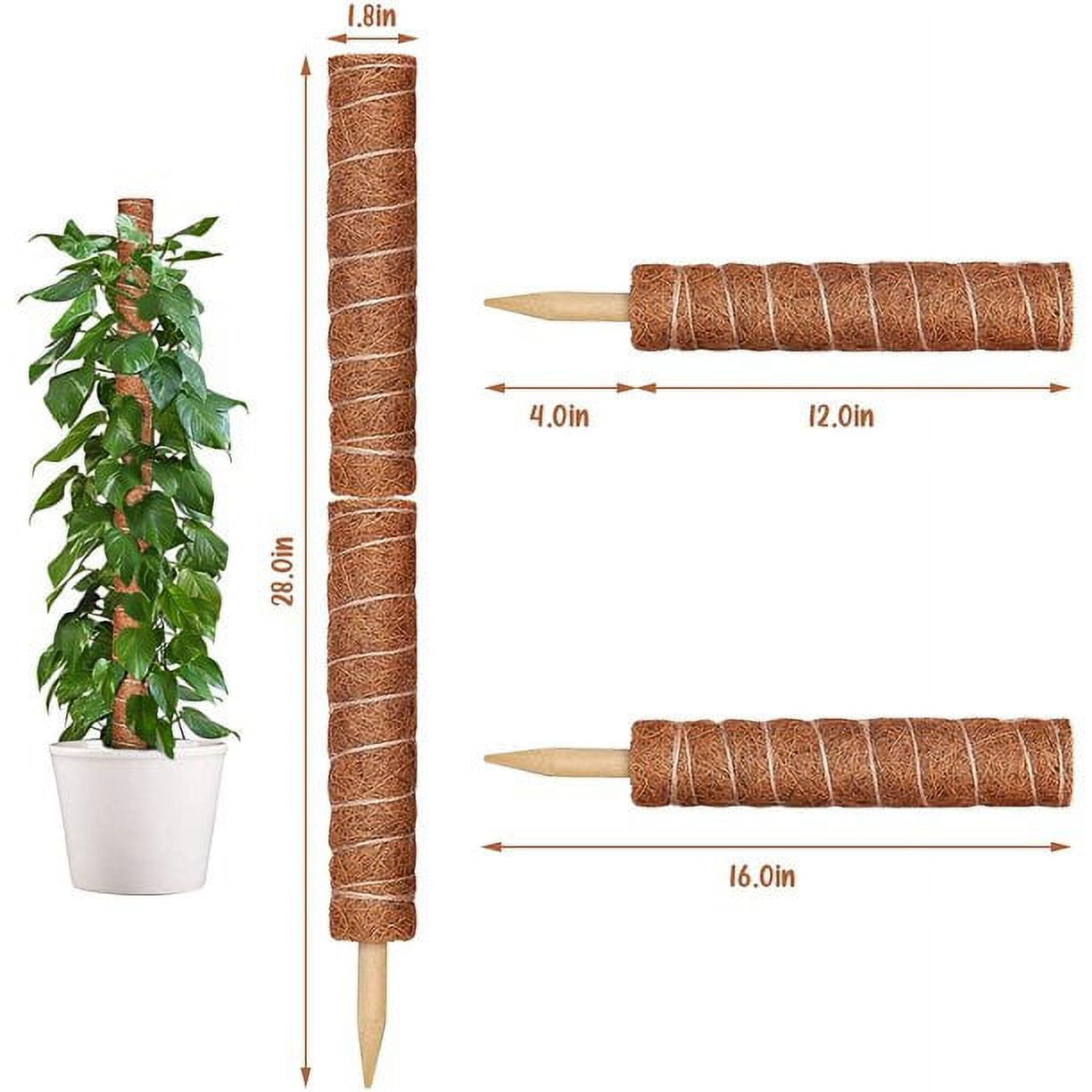Triani 63-Inch Moss Poles (4 Pack) - Plant Stakes for Indoor