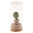 thumbnail image 3 of Cristal decorativo terrario Cloche caja de cristal miniatura jardín decoración del hogar 8 8 Sharpla Decoraciones de estatuas de terrarios, 3 of 8