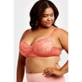 thumbnail image 2 of Womens 6 Pack of Everyday Plain, Lace, D, DD, DDD Cup Bra -Various Style 4161L3D4, 42DDD, 2 of 7