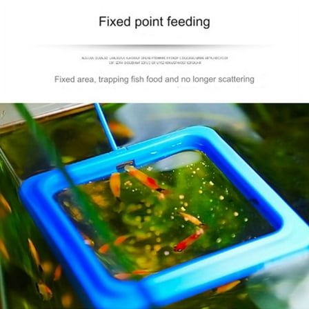 2 x Feeding Ring-Blue