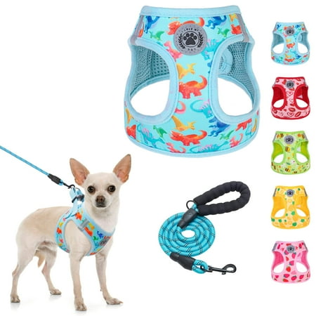 BEAUTYZOO Step in Dog Harness and Leash Set,Reflective Dog Harness No Pull No Choke Puppy Harness for Small Medium Large Dogs Cats,Soft Padded Mesh Vest Harnesses for Girl and Boy Pets,Dinosaurs S