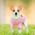 Dog Clothes Winter New Pet Clothing Cat Small Dog Pet Clothes Pet