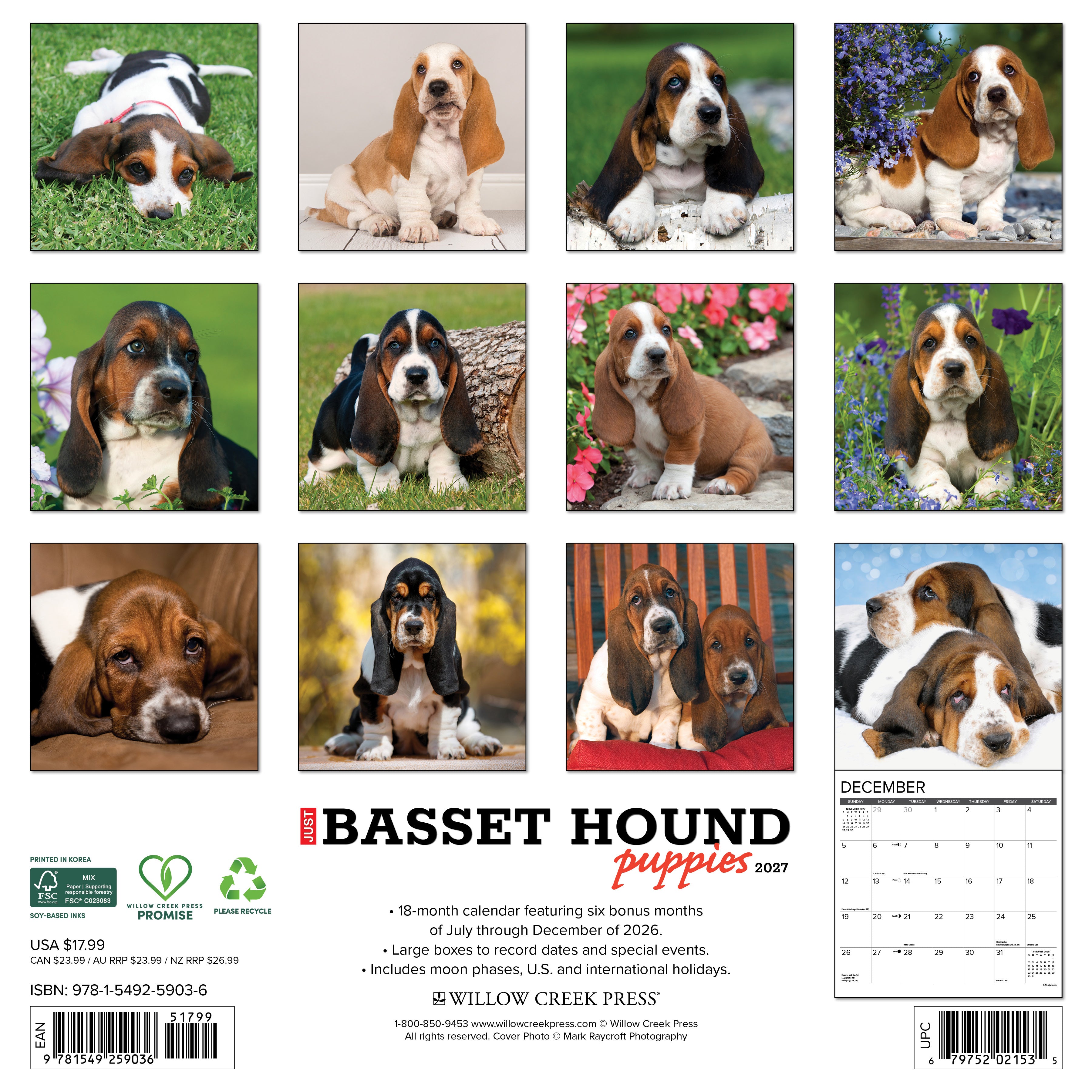 Willow Creek Press, Basset Hound Puppies 2027 Wall Calendar