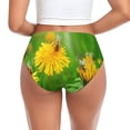 thumbnail image 3 of Womens Underwear Bees Pollinates A Yellow Dandelion Cuteness No Show Seamless Underwear for Women, Soft Stretch Women's Panties, Hipster Ladies Panties Bikini Underwear Briefs, 3 of 6