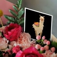 thumbnail image 3 of 3drose, Graphic Design of Llama Lama Peru Alpaca, 12 Greeting Cards with Envelopes, 3 of 7
