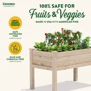 Greenes Fence 48 x 24 x 31 Original Pine Elevated Garden Bed