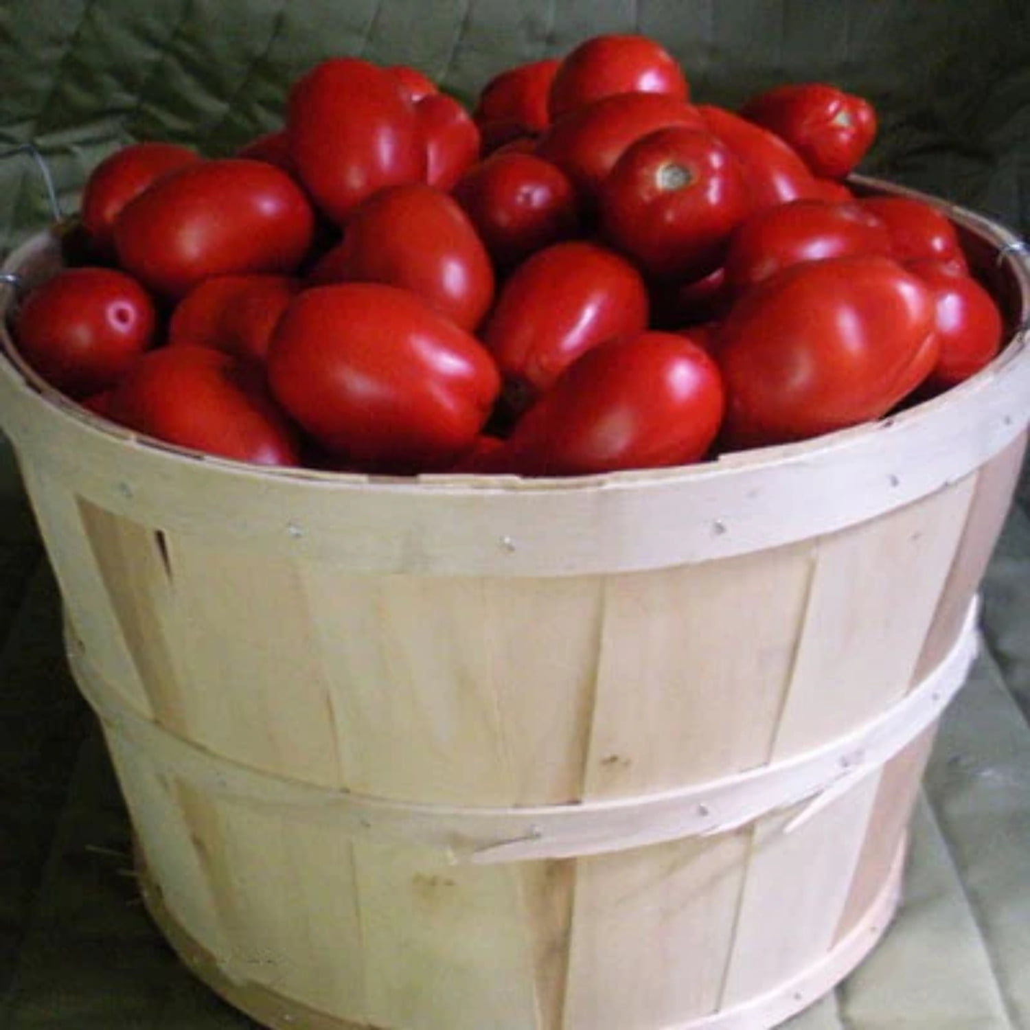 Tomato Plum Regal F1 Seed