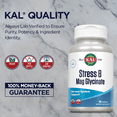 thumbnail image 5 of KAL Stress B Mag Glycinate, B Complex Vitamins Plus Magnesium, Active Forms Coenzyme Vitamin B-6, Methylcobalamin, and Folate from 5-MTHF, Healthy Mood & Relaxation Support, 30 Servings, 60 VegCaps, 5 of 6