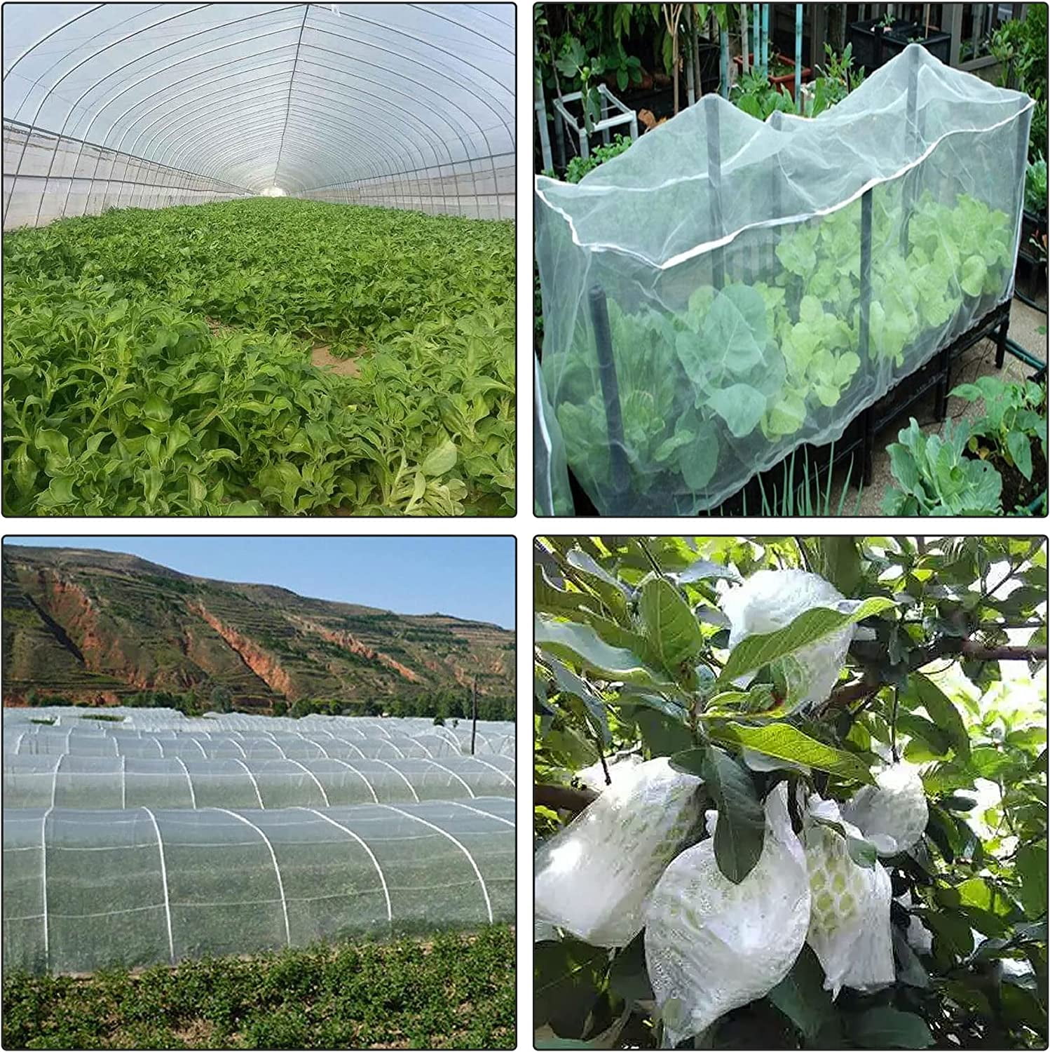 Waltyotur elfinrm Garden Insect Netting, 10ft x 30ft Fine Mesh Netting Bird Pest Bug Barrier White Netting Plant Cover for Protect Plants Fruits Vegetables Flowers Crops Greenhouse Row Cover