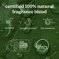 thumbnail image 3 of Homedics® SereneScent™ Morrocan Magic 120ml All Natural Essential Oil, 3 of 8