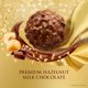 thumbnail image 4 of , 12 Count, Gourmet Milk chocolate Hazelnut, Chocolate Gift Box, Individually Wrapped, 5.3oz, 4 of 5