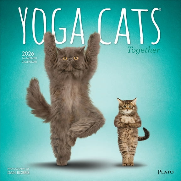 Yoga Cats Together OFFICIAL | 2026 12x24" (Hanging) Square Wall Calendar | Plato