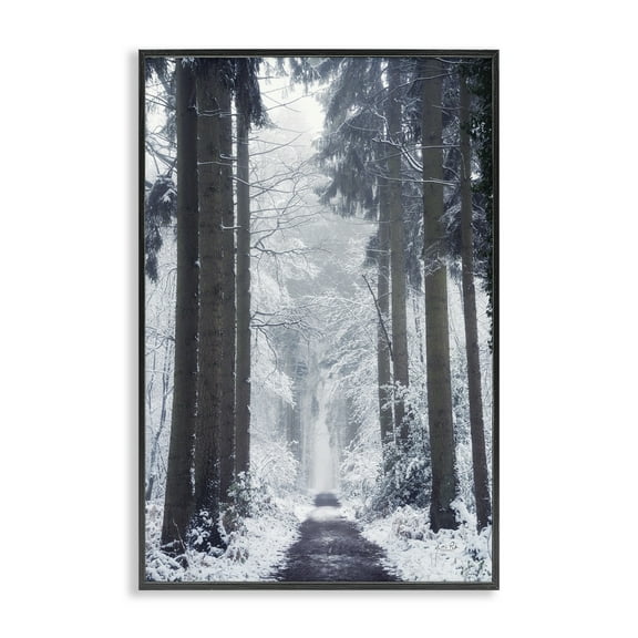 Stupell Industries Winter Fir Path Landscape Photography Black Framed Art Print Wall Art, 12 x 18