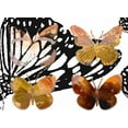 thumbnail image 2 of Jasper, Sisa 32x24 White Modern Wood Framed Museum Art Print Titled - Layered Butterflies III, 2 of 4