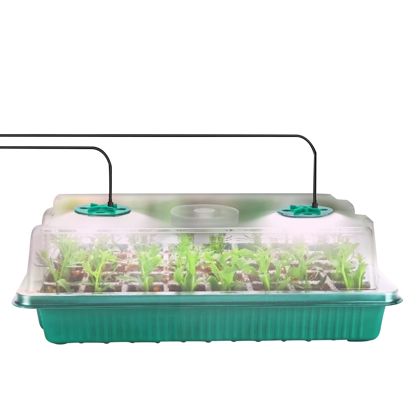 Imcute Seed Starter Kit, Seedling Starter Trays with Grow Light