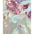 thumbnail image 2 of Boho Hue Studio 12x14 White Modern Wood Framed Museum Art Print Titled - Spring Roses 7, 2 of 4