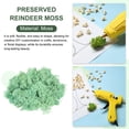 thumbnail image 3 of Uxcell 11.3oz Preserved Reindeer Moss Green Decorative Artificial Fake Moss, 3 of 6