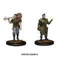 thumbnail image 2 of D&D Nolzur's Marvelous Miniatures - Male Half-Elf Bard, 2 of 2