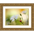 thumbnail image 1 of Disher, Mandy 18x14 Gold Ornate Wood Framed with Double Matting Museum Art Print Titled - Summer beauties, 1 of 4