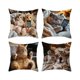 thumbnail image 2 of 4 fundas de almohada decorativas con estampado de gatos | Fundas de cojín de poliéster suave de 45 x 45 cm con cremallera oculta para sofá y cama, 2 of 6