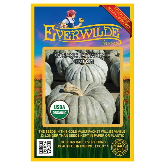 Everwilde Farms - 10 Organic Jarrahdale Pumpkin Seeds - Gold Vault Jumbo Bulk Seed Packet