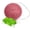 Rose Pink, variant on Konjac Exfoliating Organic Facial Sponge, Plant Based Gentle Exfoliating Face Scrubbie, Acne Control Sponge, Charcoal Black (Black)