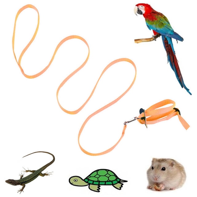 Bird Harness Leash Creative Nylon Adjustable Parrot Harness Leash Bird Supplies