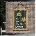 thumbnail image 4 of Ambesonne Brown Shower Curtain, Love Words on Blackboard, 69"Wx75"L, Multicolor, 4 of 5