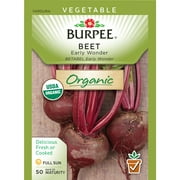 Burpee-Beet, Early Wonder Seed Packet