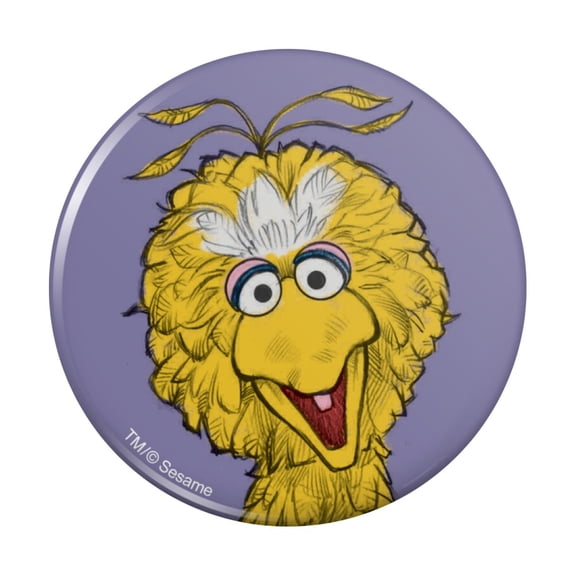Sesame Street Vintage Big Bird Pinback Button Pin