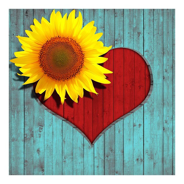 Cuadros Decorativos Diamond DIY Love daisy Taladro redondo completo Imagen de diamantes de imitación JShteea Nuevos Originales