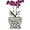 Gray, variant on Orchid Pots with Holes Square Ceramic Orchid Planter Pots 5.5 inch (Pink)
