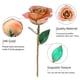 thumbnail image 2 of Rosa blanca de 24 quilates, regalo de oro, rosa eterna de tallo largo, rosa sumergida, regalo artesanal., 2 of 11