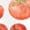 White-2, variant on Women Watercolor Mixed Tomato Harvest Graphic Fun Tees Tops Round Neck Cotton T-Shirt White S-5XL