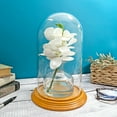 thumbnail image 2 of Plymor 5.5" x 10" Glass Display Dome Cloche (Oak Veneer Base), 2 of 3