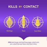 Hot Shot Bed Bug Killer Spray, Kills Bed Bugs and Eggs Indoors, 1 Gallon