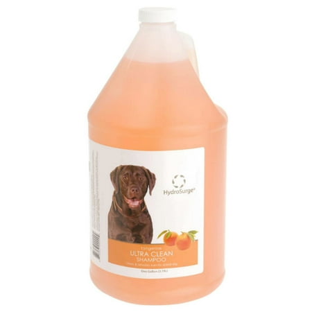 Oster HydroSurge Ultra Clean Shampoo Gallon - Tangerine Scent
