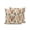 Light Beige Orange, variant on Waterproof Outdoor Throw Pillows with Inserts 12"x20" Set of 2, Fall Leaves Soft Decorative Pillowcases for Couch Bedroom, Farmhouse Beige Botanical Branch Pillow Covers for Sofa Living Room