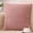 Pink#3, variant on mtvxesu Furry Pillow Set, Cotton Velvet Sofa Cushion, Office Backrest Lumbar Pillow For Comfort And Style, Decorative Living Room Cushion