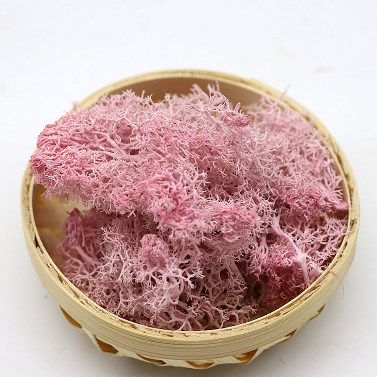 China Artificial Moss For Decoration, Artificial Moss For