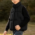 thumbnail image 3 of StSilkitty Puffer Vest for Boys Girls Full Zip up Sleeveless Stand Collar Jacket Coat Winter Warm Outerwear with Pockets, 3 of 9