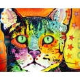thumbnail image 2 of Dean Russo Collection 24x20 White Modern Wood Framed Museum Art Print Titled - Straight Cat, 2 of 4