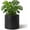 Black 10 Inch, variant on 10 Inch Round Cylinder Plant Pot Modern Indoor Outdoor Planter with Drainage Hole Saucer and Water Reservoir