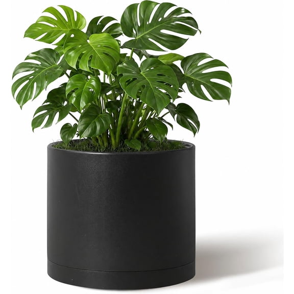 10 Inch Round Cylinder Plant Pot Modern Indoor Outdoor Planter with Drainage Hole Saucer and Water Reservoir