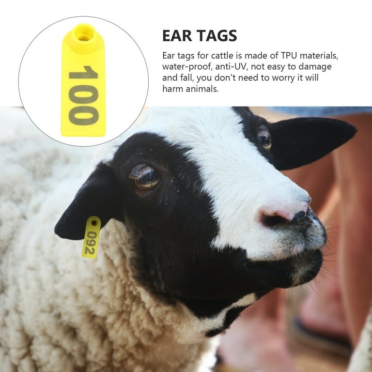 Tags Ear Tag Animal Livestock Id Cattle Identification Sheep Cow Cows  Number Pigs Pet Fly Goat Animmal Calf Replacement 