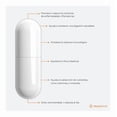 thumbnail image 3 of Probióticos 50 Billones por capsula Probiotix Suplemento Alimenticio, 3 of 7