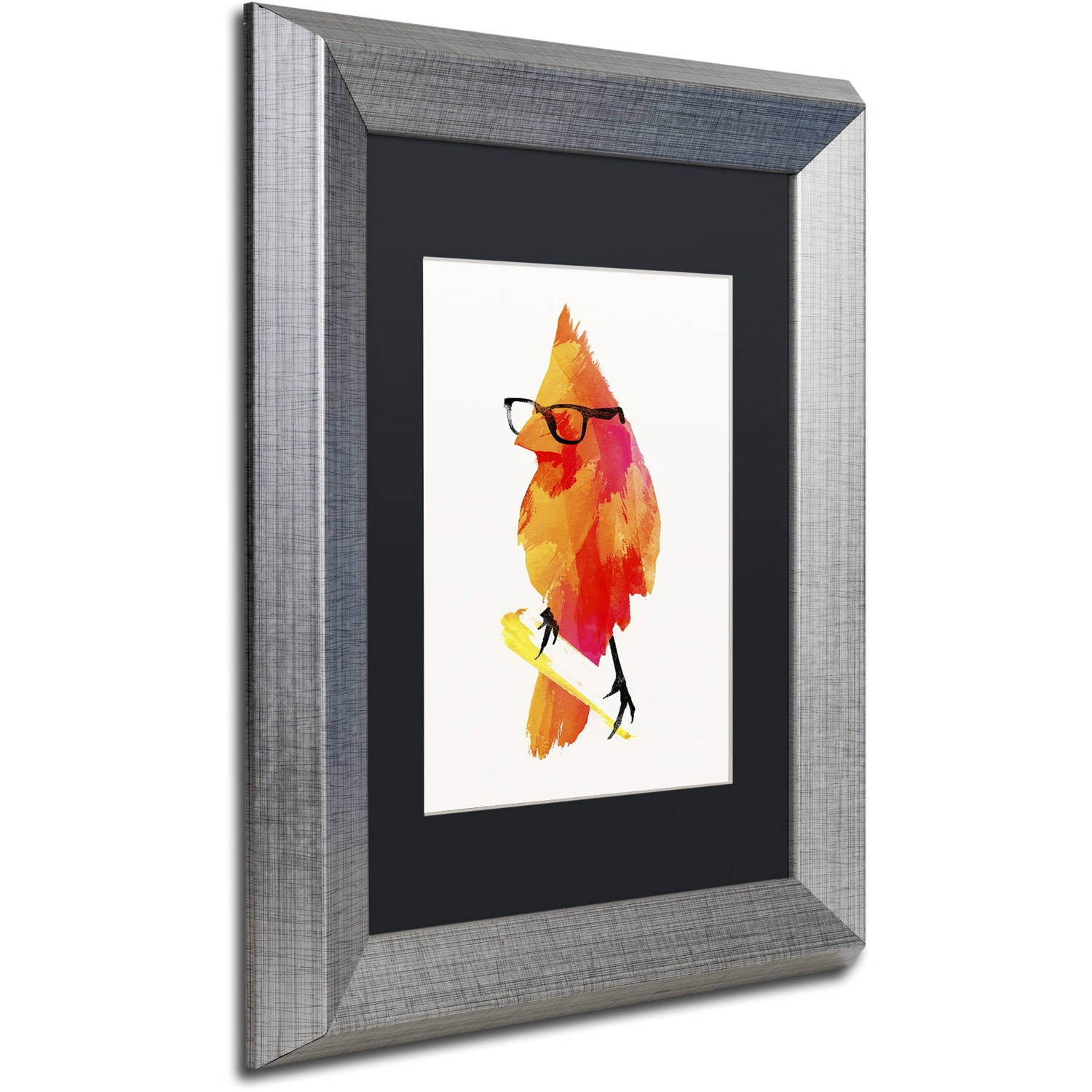 Trademark Fine Art 'Punk Birdy' Canvas Art by Robert Farkas, Black Matte, Silver Frame